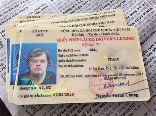Vietnamese Driver's License